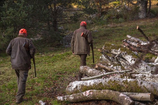Découvrez la caméra de chasse nocturne 2025 : performance et prix